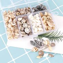 About 100Pcs/Box Natural Conch Shells Mini Conch Corn Screw Home Decoration DIY Aquarium Landscape Seashells Crafts/party Decor 2024 - buy cheap