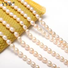 AA 6-7mm Oval Freshwater Pearl Beads Bulk Jewelry Pink Cultured Natural Pearl DIY For Necklace Bracelets Making 15" Strand 2024 - buy cheap