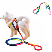 Coleira para cachorro, colorida, de arco-íris, cores de chumbo, colorido e durável, corda de tração de nylon, animais de estimação 2024 - compre barato