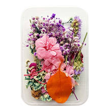 Assorted Pressed Dried Flowers Petals Crafts Candle Card Making Decoration 2024 - buy cheap