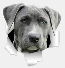 Three Ratels 3D Grey Weimaraner Dog Stickers Super Staffie decal on Wall Fridge Toilet car bike 2024 - buy cheap