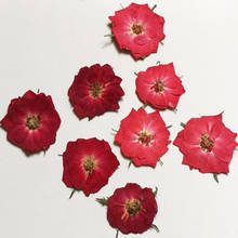 250pcs Pressed Dried Red/Dark Red Rose Flower For Jewelry Bookmark Phone Case Postcard Invitation Card Scrapbooking DIY 2024 - buy cheap