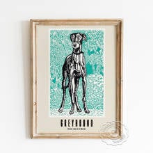 Moriz Jung exposición póster de museo galgo negro blanco boceto arte impresiones imágenes para la pared de retrato de Animal decoración Vintage para el hogar 2024 - compra barato