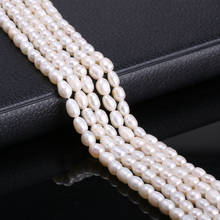 Pearls Beads Rice Shape High Quality Natural Freshwater Cultured for Jewelry Making 5-6mm 100% Natural Pearls Necklace DIY 14" 2024 - buy cheap