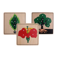 Montessori Materials 3 Botany Puzzles&Cabinet for Early Childhood Education 2024 - buy cheap