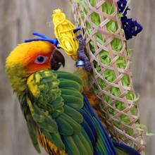 Creative Bamboo Pet Bird Parrot Swing Cage Toy Foraging Toys Chew Bites For Parakeet Cockatiel Swing Cages Playing Toy 2024 - buy cheap