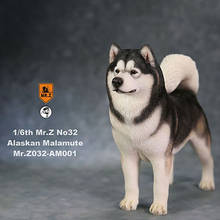 Mr.Z-modelo de simulación Malamute de 12 "para niños, juguete de simulación de Animal, perro, Alaskan, regalo, escena de acción, decoración de coche, 3 colores disponibles, 1/6 2024 - compra barato