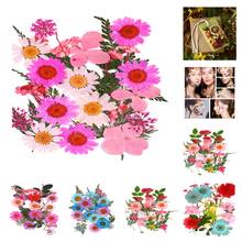 25Pcs Pressed Dried Flowers Dry Leaves for DIY Arts Crafts Bookmark Cards Making 2024 - buy cheap