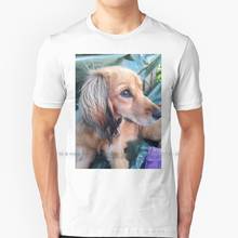 Camiseta para cachorro, algodão 100% puro, cabra, branco, branco, preto, preto, marrom 2024 - compre barato