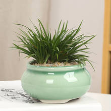 Minimaceta de cerámica para jardín, plantas verdes simples, suculentas, bonsái para Micro-Paisaje, celadón, balcón 2024 - compra barato