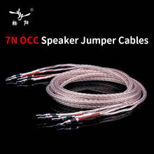 4 to 4 Speaker Jumper Cables Hifi Audio Cable 8AC Silver plated 7N OCC Speaker Cable Carbon Fiber Rhodium Banana Plug Cable 2024 - buy cheap