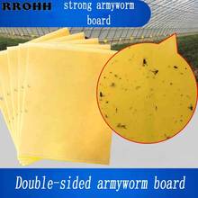 20Pcs Strong Effective Flies Traps Bugs Sticky Board Catching Aphid Insects Killer Pest Control Whitefly Thrip Glue Sticker 2024 - buy cheap
