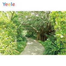 Yeele Spring Forest Trees Path Landscape Photocall Photography Backdrops Personalized Photographic Background For Photo Studio 2024 - buy cheap
