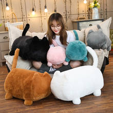 40/55cm Plush Fat Cat Toys Stuffed Animal & Plush Toys No Face Cat Plush Doll for Kids Girl Gift Soft Pillow Big Cushion 2024 - buy cheap