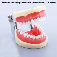 Dental Lab Instrument 32 Removable Teeth Typodont Model Oral Teaching Resin Reeth Materials Dentist Tools 2024 - buy cheap