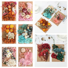 1/2Bag Multicolor Real Dried flower Aromatherapy Candle Manual Plant Painting Scrapbooking DIY Art Craft Home Decor Supplies 2024 - buy cheap