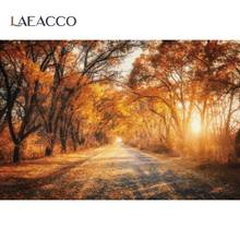 Laeacco Photo Backdrops Autumn Forest Countryside Road Sunset Beautiful Scenic Photography Backgrounds Photocall Photo Studio 2024 - buy cheap