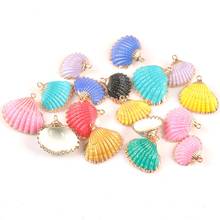 multicolor sector Shell Gold Plated for DIY handmade pendant SeaShells Home decoration 5pcs TRS0334 2024 - buy cheap
