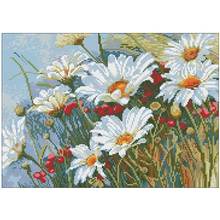 Field white daisies patterns Counted Cross Stitch 11CT 14CT 18CT DIY Chinese  Cross Stitch Kits Embroidery Needlework Sets 2024 - buy cheap