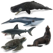 Simulação de baleias de tubarão, manate e polvo de beluga, modelo animal marinho, figuras de ação educacionais, presente para crianças 2024 - compre barato