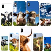 Funda de teléfono de vaca para iphone 12, 5, 5s, 5c, se, 6, 6s, 7, 8 plus, x, xs, xr, 11 pro max 2024 - compra barato