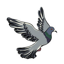 Interesting Birds Dove Car Sticker Accessories KK Vinyl PVC 14cm*14cm Motorcycle Laptop Decal 2024 - buy cheap