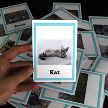 Animais holandeses hond/kat/olifant/eend palavras alfabeto letras flashcard crianças montessori aprendizagem brinquedos educativos para crianças bebê 2024 - compre barato