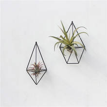 Wall Mounted Air Plants Holder Irregular Geometric Metal Hanging Rack for Branch Eave Ceiling AUG889 2024 - buy cheap