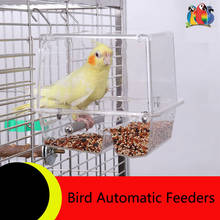 Alimentadores automáticos de comida para pájaros, jaula colgante de acrílico, para palomas, loros, estrellas, mascotas, 1 ud. 2024 - compra barato