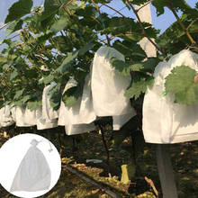 Seedling Bag Fruit Protection Fruit Bagging Anti-Bird Vegetable Prevent Tree Mosquitoes Moisture Insect Breeding Bags 100 Pcs 2024 - buy cheap