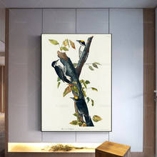 Dibujo de pájaro carpintero de tres dedos, estampado Vintage de John James Audubon Birds of America, póster de pájaro Vintage, Póster Artístico de pared impreso 2024 - compra barato