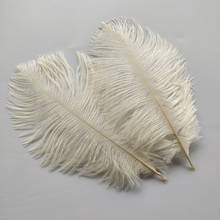 Plumas de avestruz Beige de alta calidad, plumas bonitas de 6-8 pulgadas/15-20 cm para decoración de fiesta/boda, venta al por mayor, 100 Uds. 2024 - compra barato