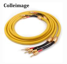 Colleimage Hifi Accuphase 1th Audio  speaker Cable Gold Plated Banana Plug Speaker Wire For Hi-fi Systems 2024 - buy cheap