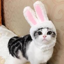 Cute Pet Costume Cosplay Rabbit Ears Cap Hat for Cat Halloween Xmas Clothes Fancy Dress with Ears Autumn Winter  Paty Accessorie 2024 - buy cheap