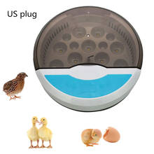 Incubadora semiautomática de 9 huevos para el hogar, miniincubación de ganso y pato, con luz integrada, 110V/220V 2024 - compra barato