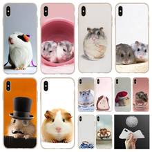 funny Hamster Soft Silicone Case For iPhone 13 12 11 Pro 7 8 6 6s Plus XR XS Max Cover Mini SE 2020 Funda Etuis 2024 - buy cheap