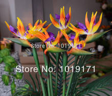 Strelitzia Artificial Reginae, flor de pájaro, flor de boda, hogar, oficina, decoración de muebles, 3 colores, 80CM x 3 uds., F327 2024 - compra barato