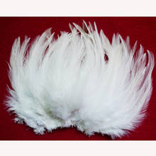 wholesale natural 50pcs/lot  Beautiful  white Pheasant Neck Feathers 10-15cm/4-6'' 2024 - buy cheap