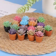 5pcs 1:12 Dollhouse Miniature Mini Potted Succulent Plant Model Accessories Simulation Toy RANDOM New~ 2024 - buy cheap