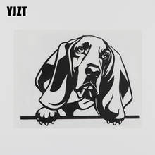 YJZT-calcomanía de vinilo para coche, adhesivo de 15,6 cm x 11,9 cm Bassett Hound Peeking Hound, negro/plata 8A-0555 2024 - compra barato