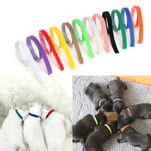 12pcs Dog Collars Nylon Pet Dog Tag Puppy Kitten Identification Collar Whelping ID Collar Bands for Dogs Cats Pet Supplies 2024 - buy cheap