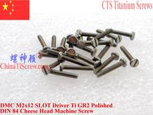DIN 84 Titanium screws M2x12 M2x14 M2x16 M2x18 M2x20 Slotted Driver Ti GR2 Polished 25 pcs 2024 - buy cheap