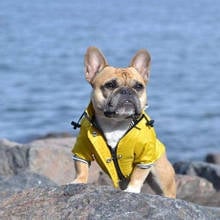 French Bulldog Pets Dog RainCoat Waterproof Dog Rainproof Clothes Retro Puppy Pet Outfit  Waterproof Jacket Puppy Raincoat 2024 - buy cheap