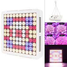 300W LED Grow Light Full Spectrum Plant Growth Lamp for Indoor Flower Tent Seedling 2024 - buy cheap