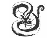 A Few Meters Long Snake Curled Up Car Decals For Car Body Decoration Window Door Art Sticker FA206 2024 - buy cheap