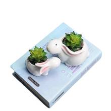 Cute Rabbits Flowerpot Succulents Small Ceramic Flower Pot Table Desktop Green Planters Small Bonsai Pots Home Decoration 2024 - buy cheap