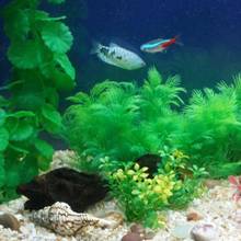 1pc aquário tanque de peixes artificial verde água grama visualização decorações subaquática ornamentos de grama de plástico aquático suprimentos para animais estimação 2024 - compre barato