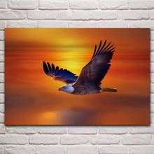 Imagen de águila calva contra el sol dorada, carteles de ilustraciones de animales en la pared, decoración del hogar, sala de estar, dormitorio, KM084 2024 - compra barato