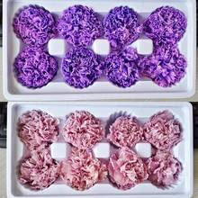 8Pcs Preserved Flower Head Carnation Decorative Dried Flower Mothers Day Gift Box Flower for Mother Dried Flower Dry Plants gift 2024 - buy cheap