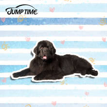 Jump Time, 13 см x 6,6 см, Newfoundland, наклейка с собакой, смешная, 3D, для стайлинга автомобилей, наклейка для ноутбука, виниловая, для домашних животных, графические, водонепроницаемые аксессуары 2024 - купить недорого